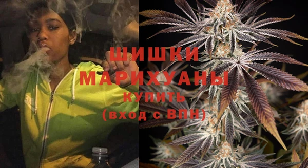 спиды Богородицк