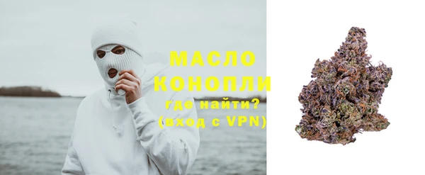 крисы Верхний Тагил