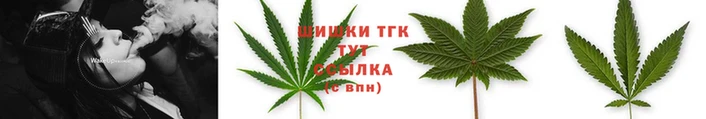 спиды Богородицк