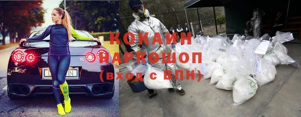 крисы Верхний Тагил