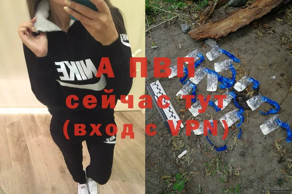 спиды Богородицк