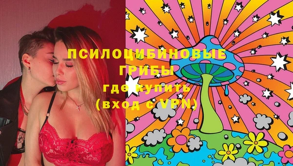 спиды Богородицк