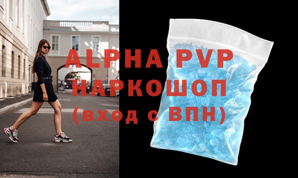 спиды Богородицк