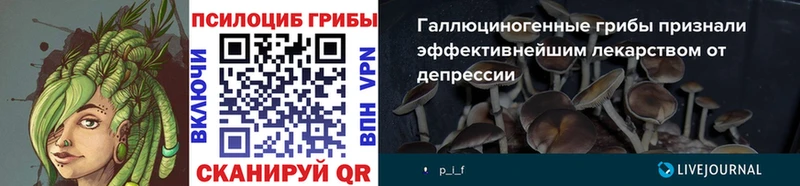 omg ONION  Верхотурье  Псилоцибиновые грибы ЛСД  сколько стоит 